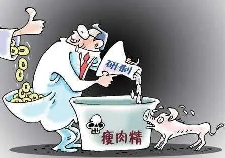 β-受体激动剂:畜牧业的“隐形毒药”与人类健康的威胁